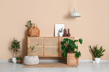 Interior of room with commode, wicker baskets and plants