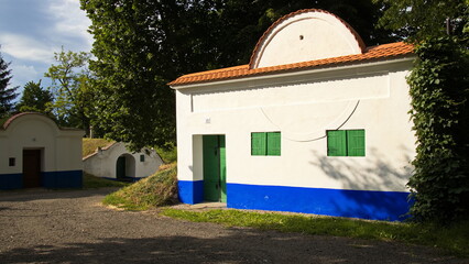 Wine cellars 