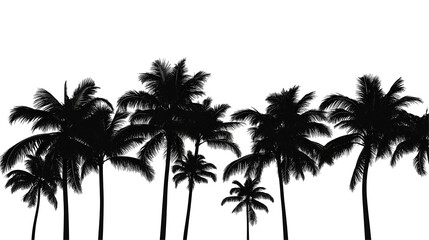 Palm tree silhouettes on a beach
