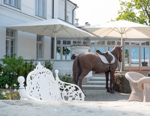 horse in front of a house
