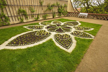 Flower bed with houseleek in castle garden in Lysice in Blansko District, South Moravian Region,...