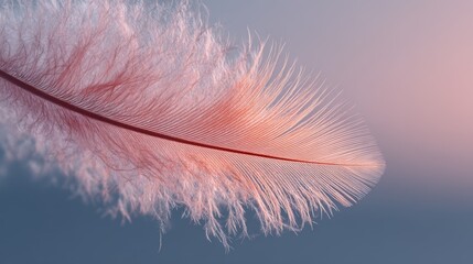 Close-up of a delicate feather on a gradient background