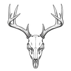 Antlered Majesty: A Pen & Ink Skull