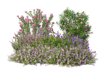 Small bush with different plants, colorful field wildflowers cut out