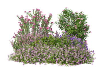 Small bush with different plants, colorful field wildflowers cut out