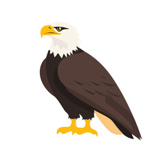 My Simple flat 2D icon eagle isolated on a transparent background, vector, flat design, animation design, simple flat 2D icon, minimalist design, Eps Format