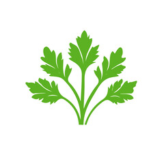 My Simple flat 2D icon celery isolated on transparent background, vector, flat design, animation design, simple flat 2D icon, minimalist design, Eps Format
