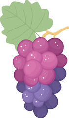Grapes fruit clipart design illustration