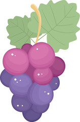 Grapes fruit clipart design illustration