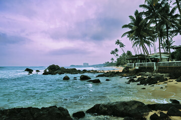 tropical beach with palm trees