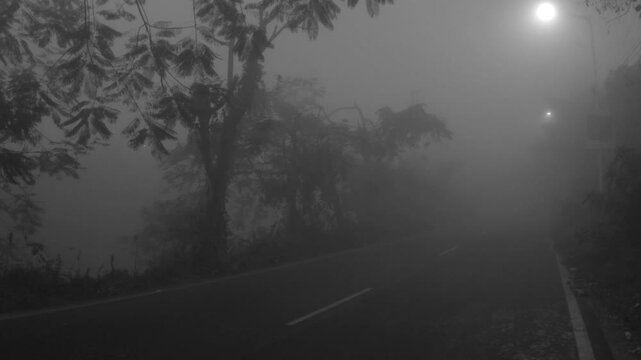 Foggy Winter Morning on Highway with Cars and Bikes Passing Through in Low Visibility