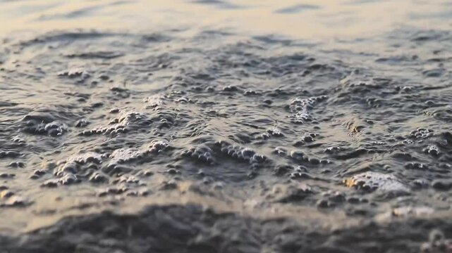 Lake Biwa at Sunset in Early Spring &ndash; Serene Dusk Reflections