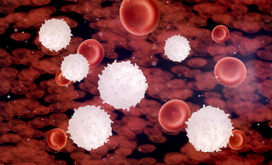 White blood cells in vein with hemoglobin cells