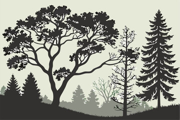Obraz premium Vector Pinescape: Minimalist Forest Silhouettes