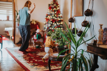 A warm setting showcasing a family, a Christmas tree, and holiday decorations, filled with joy and...