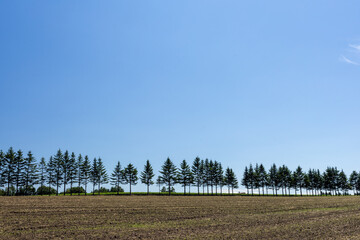 Trees and fields