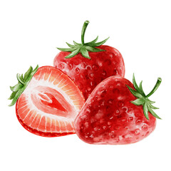 Strawberry watercolor illustration