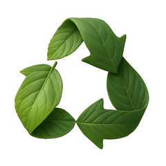 Green Leafy Recycling Symbol Made from Real Leaves