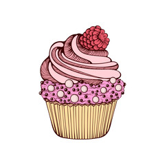 Pink Summer Muffin Cake Dessert Vector Bakery or Pastry, Birthday Sweets with Strawberry Colorful Sketch Retro Hand Drawn Isolated Illustration for Cafe