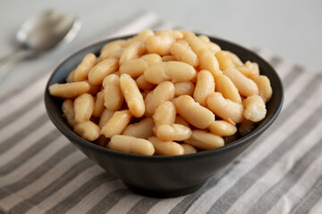 Organic Cannellini Beans in a Bowl, side view.