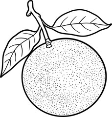 Orange fruit lineart black clipart design illustration