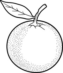 Orange fruit lineart black clipart design illustration