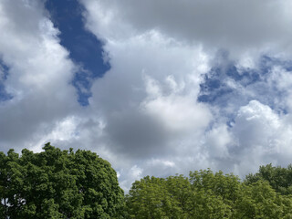 From spring a few days into summer. Clouds slowly rise above the horizon from behind the trees....
