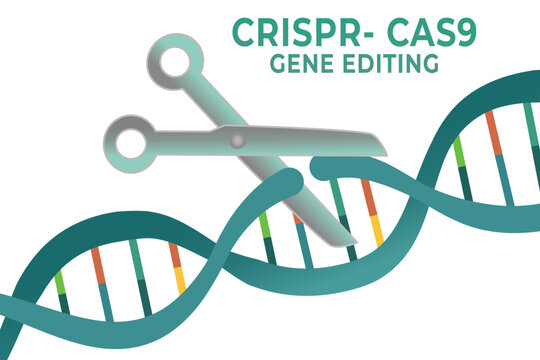 Illustration of CRISPR Gene Editing, DNA Cut Concept for Genetic Modification and Disease Treatment
