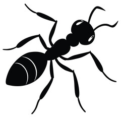 dragon ant poster ready file