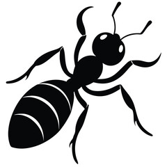 dragon ant themed vector