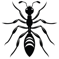 dragon ant modern illustration