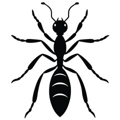 dragon ant insect concept art
