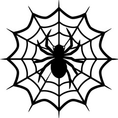 Obraz premium spider and web