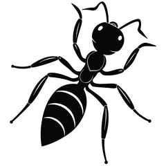 dragon ant editable design