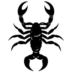 Black Silhouette of a Scorpion