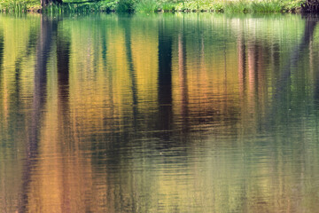 Reflets abstraits sur l’étang au fil de l’eau