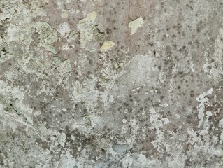 Abstrak grunge old wall weathered with peeling paint texture background
