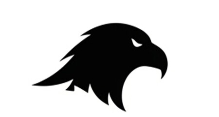 Eagle Head Silhouette Logo Vector | Graphic Mascot Symbol for Sports Team, Brand Identity, and Business Design