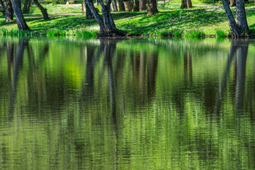 Reflets abstraits sur l’étang au fil de l’eau