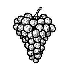 Hand-drawn monochrome illustration of a bunch of grapes