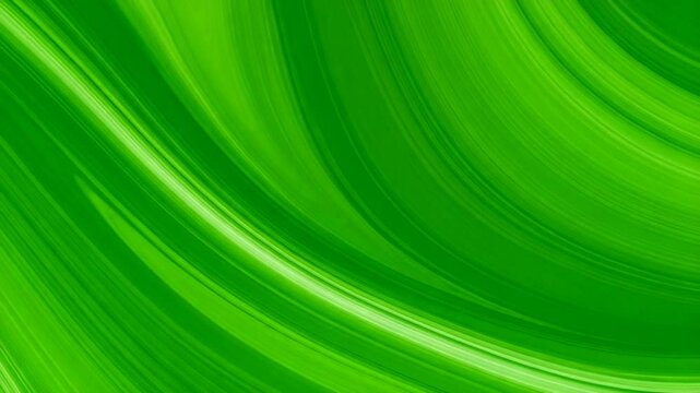 Abstract green flowing lines background
