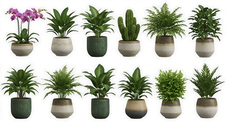 Fototapeta premium Botanical 3D Render Collection: Potted Plants