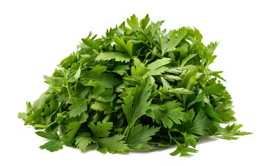 Pile of Parsley