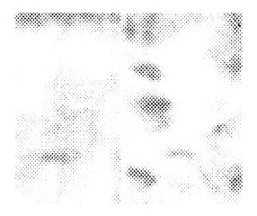 Vintage halftone grunge texture vector illustration