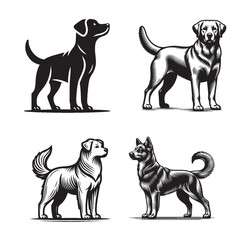 Silhouette Vector of Dog in Standing Pose – Outline Style Isolated on White Background