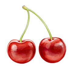 cherry illustration