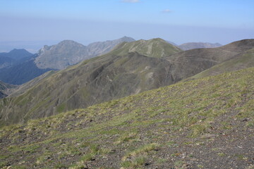 mountain landscape with flowers