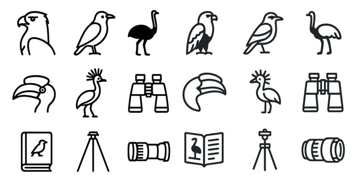 Bird watching icons with binoculars and guidebooks for nature enthusiasts
