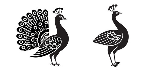 Elegant Peacock Silhouette Illustration for Wildlife and Nature Design Themes White Background.