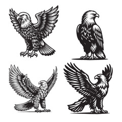 Set of 4 Eagle Silhouette Vectors – Outline Style Birds Standing Pose on White Background